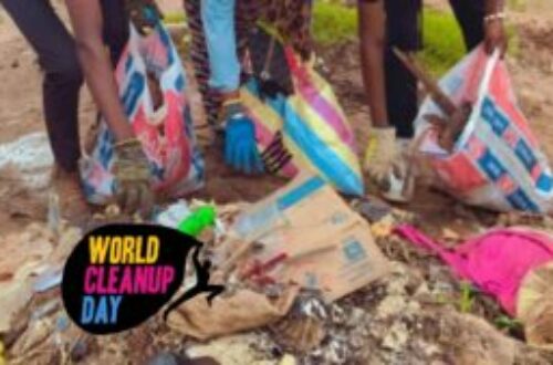 Article : World Cleanup Day, une occasion pour nettoyer le marché Calavi-Tokpa