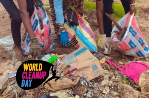 Article : World Cleanup Day, une occasion pour nettoyer le marché Calavi-Tokpa