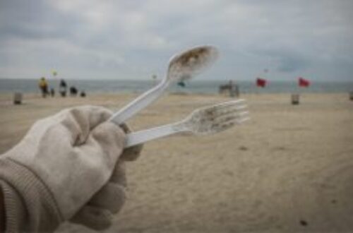 Article : Vers la fin de la pollution plastique ?