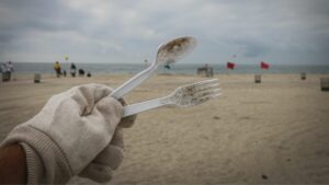 Article : Vers la fin de la pollution plastique ?