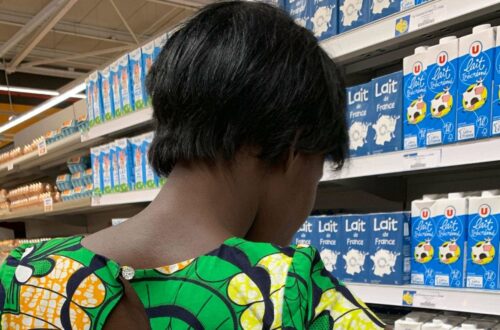 Article : Le lait importé, l’autre poison silencieux des Africains